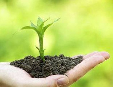 腐殖酸、氨基酸、魚蛋白以及海藻酸、甲殼素比較